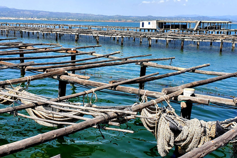 Barcelone : Visite des bains de thon dans le delta de l&#039;Ebre et route des oliviers