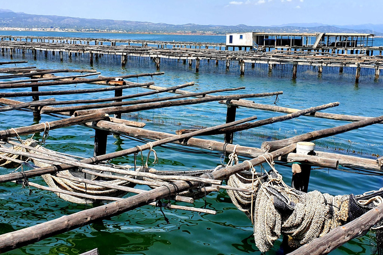 Barcelona: Tuna Baths in the Ebro Delta Route and Olive Tree Tour