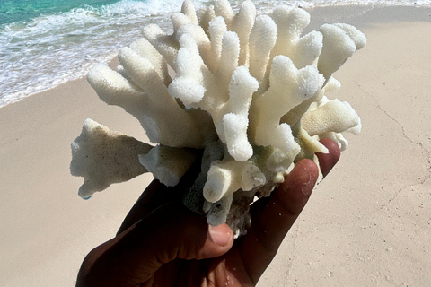 Zanzibar: Nakupenda Sandbank & Prison con Pranzo Incluso Honeymoon & Wedding Anniversary