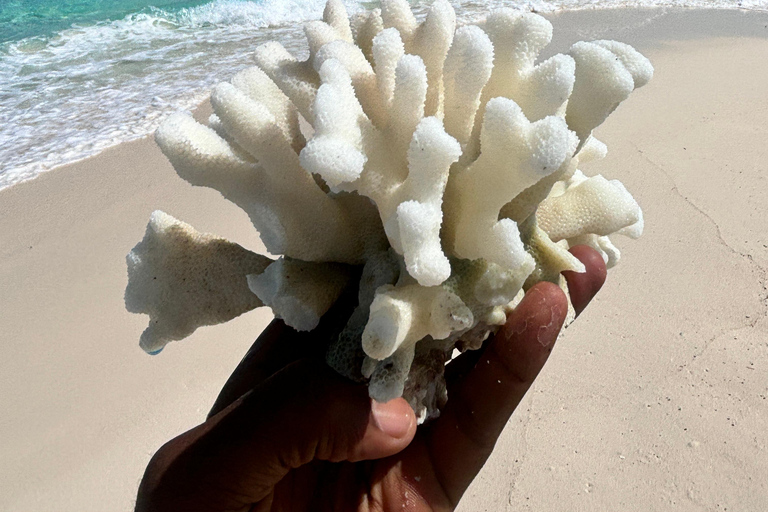 Zanzibar: Nakupenda Sandbank & Prison con Pranzo Incluso Honeymoon & Wedding Anniversary