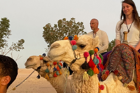 Hurghada: Hiking , dinner & stargazing Advanced hiking tour & camel ride
