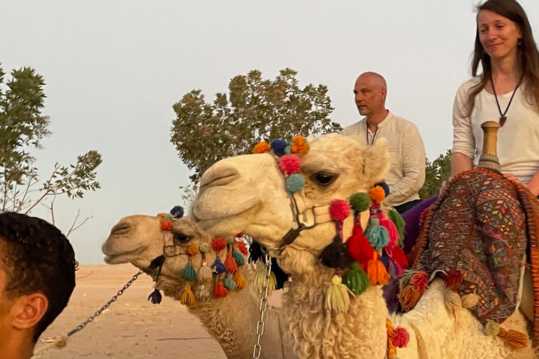 Hurghada: Hiking , dinner & stargazing Advanced hiking tour & camel ride