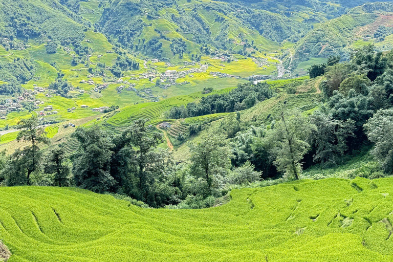 Trek d&#039;une journée à Sapa : rizières en terrasses et villages ethniques