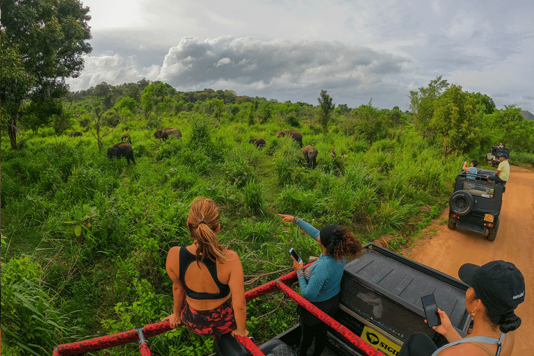 Habarana: Hurulu Eco Park halvdagssafari med upphämtning från hotell