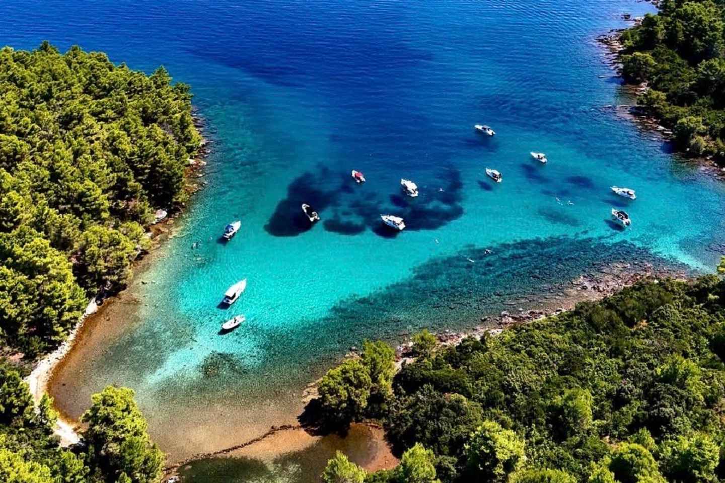 Zadar: Half day Speedboat tour with Snorkeling and Drinks