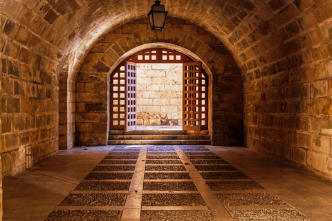 Palma de Mallorca: entrada al palacio de la AlmudainaPalma de Mallorca: Entrada al Palacio de la Almudaina