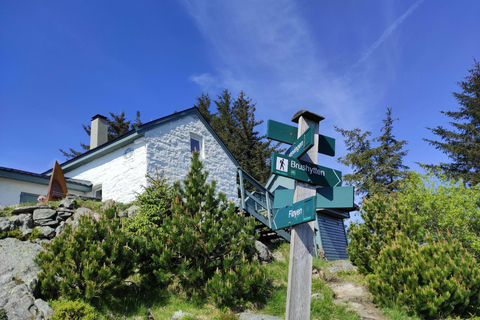 Private hiking tour Bergen mountains like a local