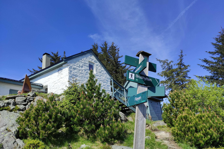 Tour privado de senderismo por las montañas de Bergen como un lugareño