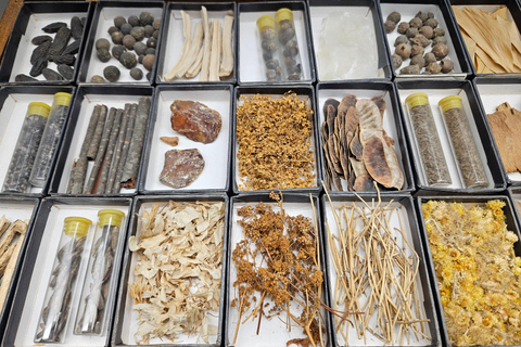 ETH Zurich Tour: How colors became medicines