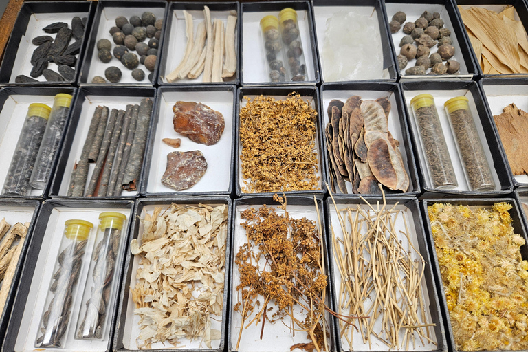 ETH Zurich Tour: How colors became medicines