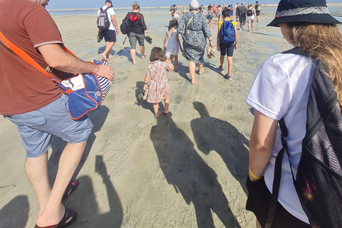 La epopeya pirata de Djerba: crucero legendario hacia la isla de los flamencos rosados