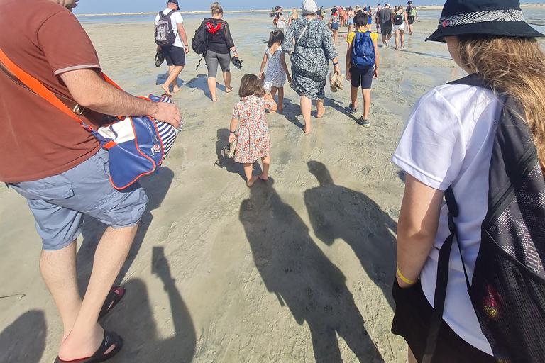 La epopeya pirata de Djerba: crucero legendario hacia la isla de los flamencos rosados