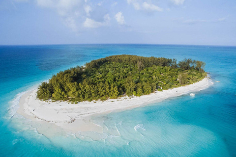 Tour privato di Zanzibar: nuoto con i delfini e snorkeling a Mnemba