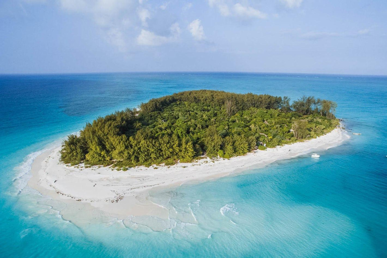 Tour particular em Zanzibar: Natação com golfinhos e snorkel em Mnemba