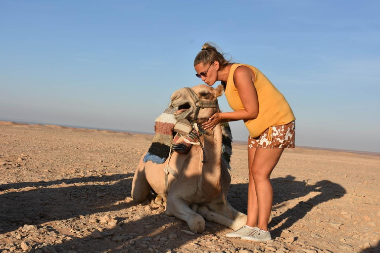Hurghada: Camel Ride & horse ride and Off-Road Jeep Tour pickup from hotels inside hurghada