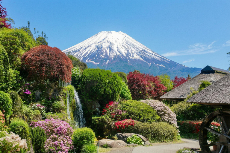 Mt. Fuji & Hakone Tour: Arakurayama, OshinoHakkai, Owakudani Tokyo Station | 7:30 AM Departure with English Guide