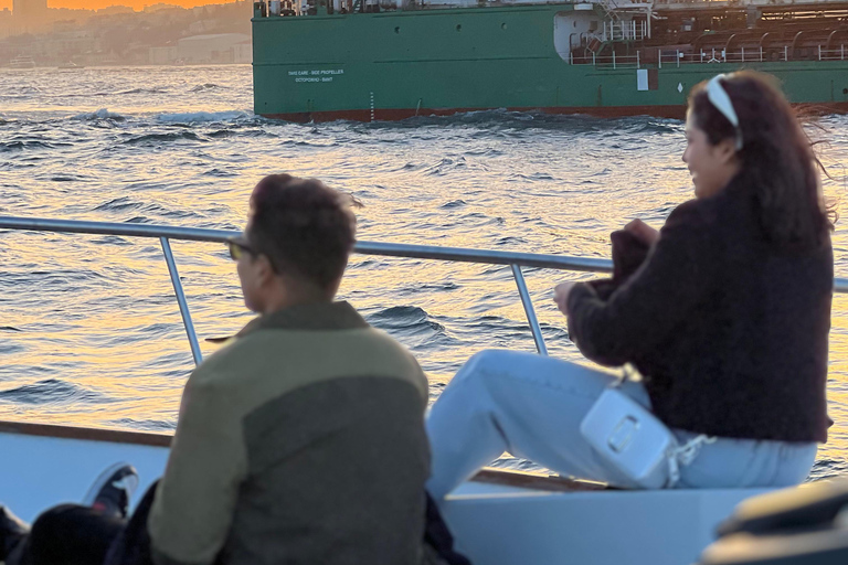 Istanbul: Bosphorus Sunset Cruise with Snacks and Wine Istanbul: Bosphorus Sunset Cruise without Wine
