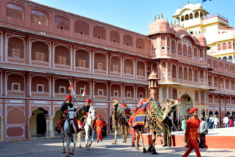 Jaipur : Visite guidée du fort d'Amer et de la ville de Jaipur (tout compris)Taxi + chauffeur + guide touristique