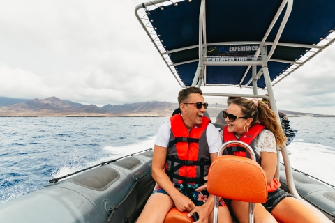 Ab Morro Jable: Delfin- und Whale Watching – TagestourFuerteventura: Delfin- und Whale Watching - Tagestour