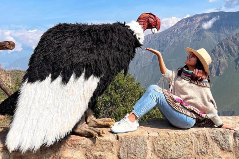 Arequipa : Journée complète dans le Canyon de Colca avec petit-déjeuner et déjeuner