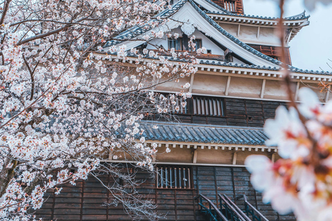 Osaka/Kyoto Hiroshima, Miyajima & Himeji Castle Private Tour