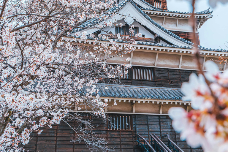 Osaka/Kyoto Hiroshima, Miyajima & Himeji Castle Private Tour