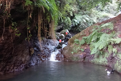 Tour particular de Canyoning: Madeira