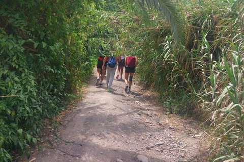 Las Palmas verkennen: Stadswandeling met gidsLas Palmas: Wandeltour met gids Avontuur 1,5u