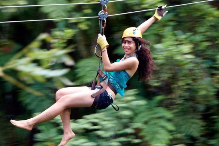 Treetops Zipline Tour with Drop off Transfer to Nadi Airport