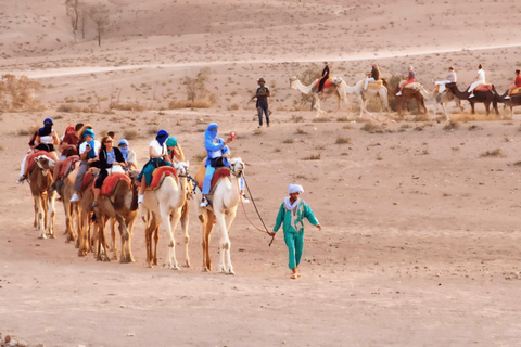 Marrakech: Agafay Desert Quad & Camel Rides with Dinner Show