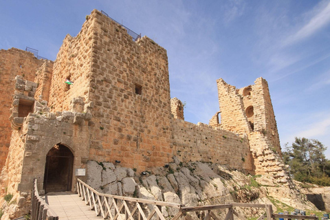 Von Amman aus: Private Jerash, Ajloun Castle und Umm Qais TourJerash und die Burg von Ajloun (7-stündige Tour)