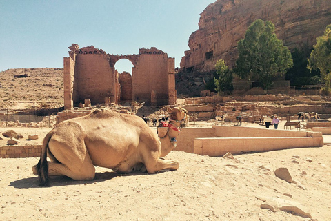 Aqaba, Petra &amp; Wadi Rum Glamping, 3 dagen vanuit JeruzalemToeristenklasse 3-sterren Hotel Spaans