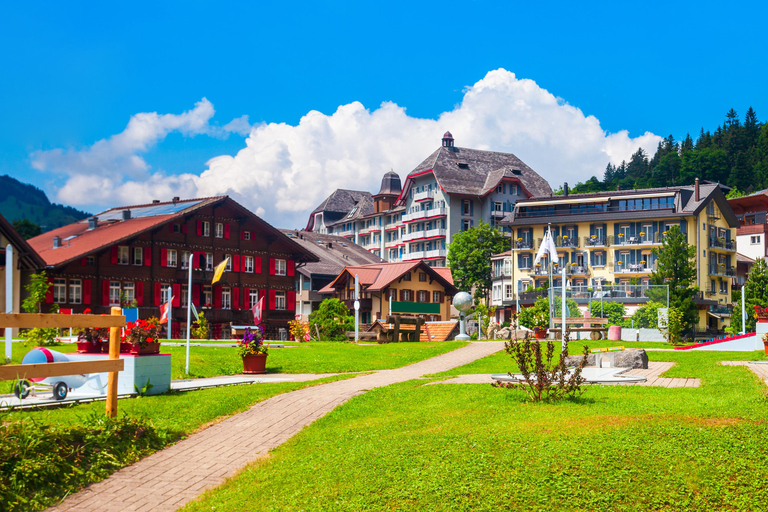 Excursión de un día panorámica privada: De Lucerna a Grindelwald e Interlaken