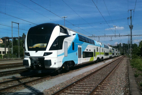 Esplora Salisburgo con un facile trasferimento in treno da/per ViennaBiglietto di sola andata da Salisburgo a Vienna