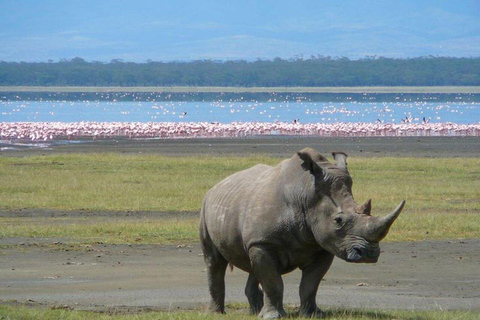 Excursión de 2 días al Lago Nakuru, la Puerta del Infierno y el Lago Naivasha