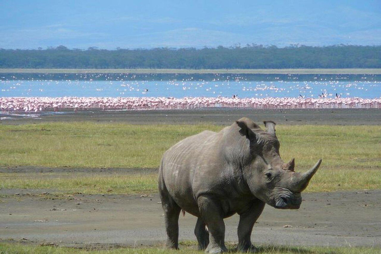 Excursión de 2 días al Lago Nakuru, la Puerta del Infierno y el Lago Naivasha