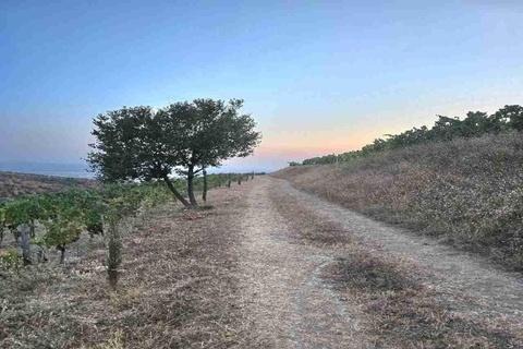 Berat: Private Sunset Tour with Wine and Fruits