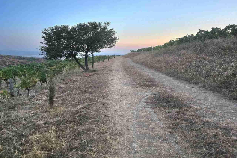 Berat: Private Sunset Tour with Wine and Fruits