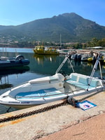 Galeria, cabello 6.50 175 HP Alquiler de barcos - Housity