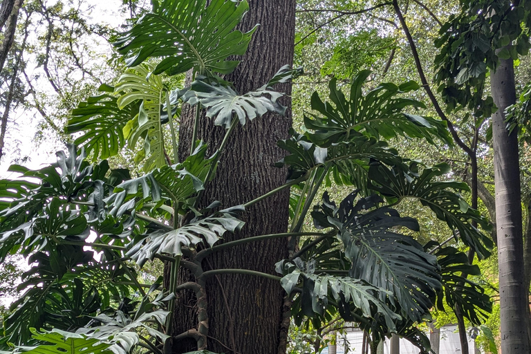 COP16: Descobre Cali através das suas maravilhas naturais