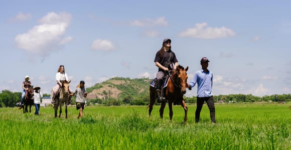 Siem Reap: Private Horseback & Horse-Drawn Carriage Rides