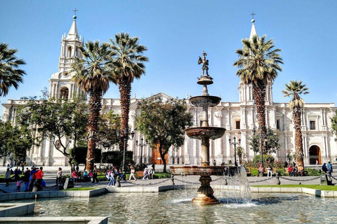 Arequipa: Medio Dia Walking Tour Privado + Monasterio de Santa Catalina