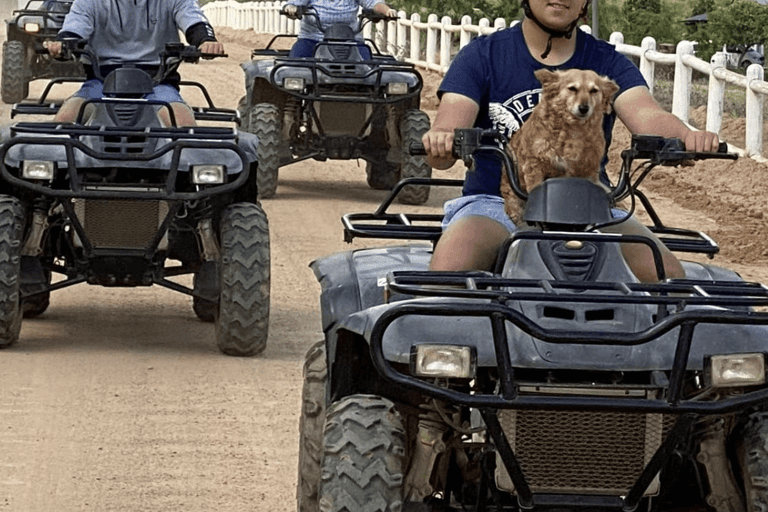 Vrede en Lust Wine Estate: 1H Quad Bike Trail 1h – Quad Trail