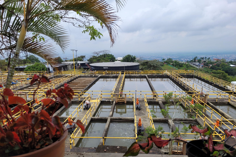 Cali: Guided tour of the La Reforma drinking water treatment plant Cali: Guided tour of a drinking water treatment plant