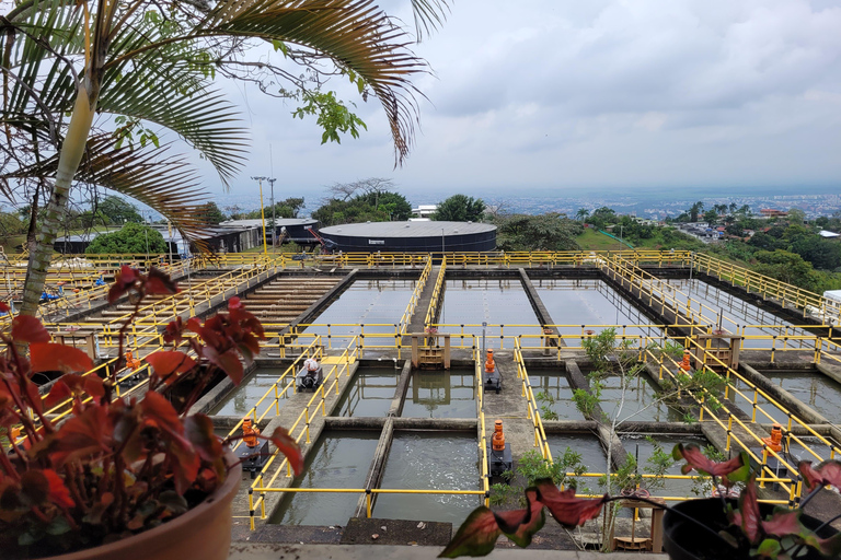 Cali: Guided tour of the La Reforma drinking water treatment plant Cali: Guided tour of a drinking water treatment plant