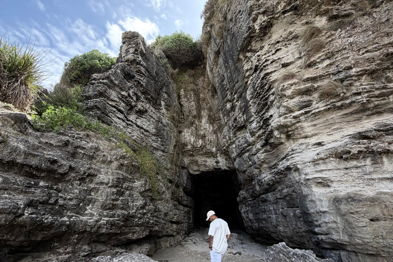Sydney: Jervis Bay & South Coast Small Group Sydney: Jervis Bay & South Coast Small Group Wild Kangaroos