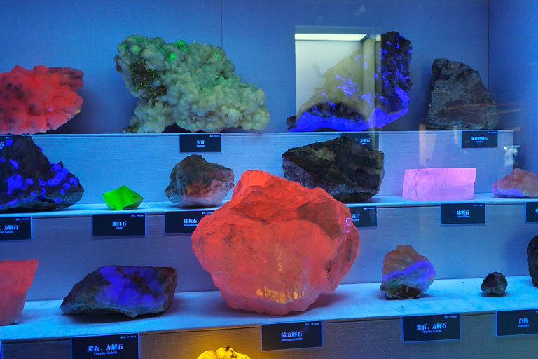 Beijing：Hutong Museum Cluster Tour—Culture, Temples & Life