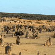 From Perth: Pinnacles & Lancelin Sandboarding Tour