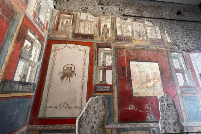Pompéi : billet et visite avec visite du site Regio VVisite guidée en anglais