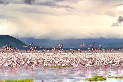 Nairobi Excursión de un día al Parque Nacional del Lago Nakuru